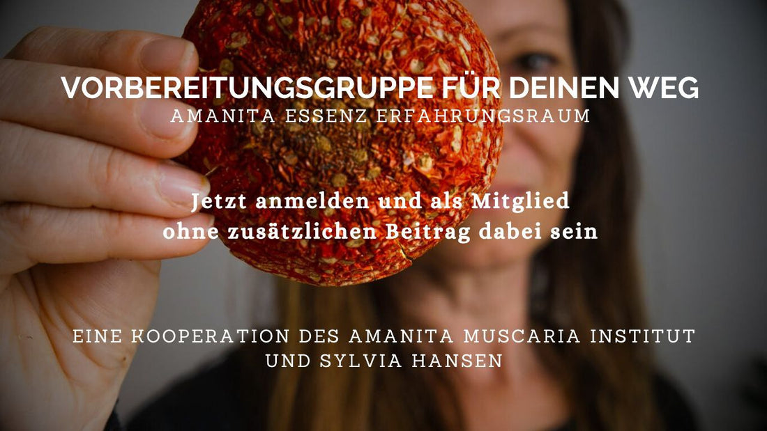 kostenlose Vorbereitungsgruppe ab Juni für Amanita Interessierte