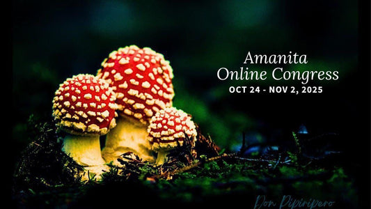 kostenloser 🍄 Amanita Online Congress 2025 | 24. Oktober – 2. November