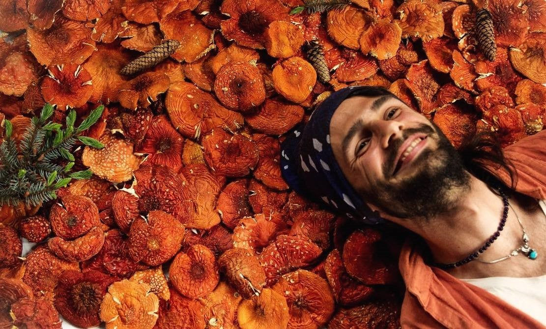 Einzel-Selbsterkenntnis Sitzung mit dem Fliegenpilz