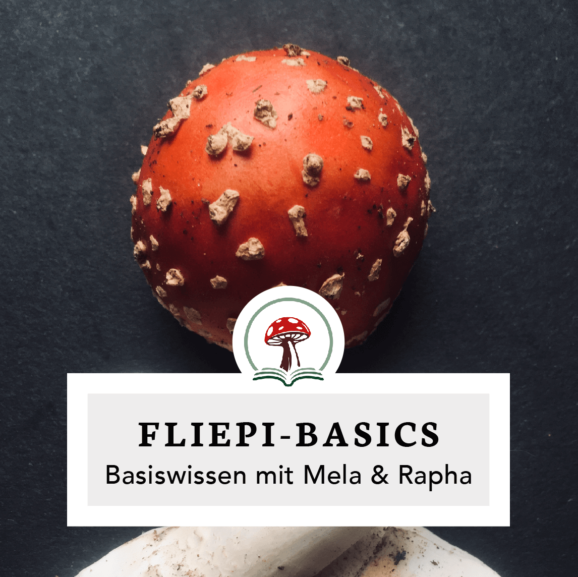 Fliegenpilz Basics · online · 26. März