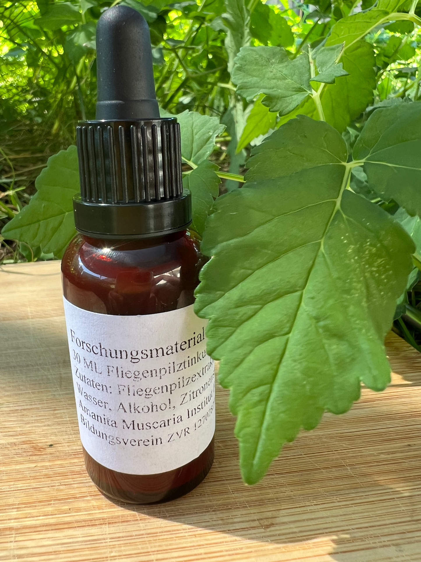 Fliegenpilz Essenz  / Muscimol / Abend & Entspannung