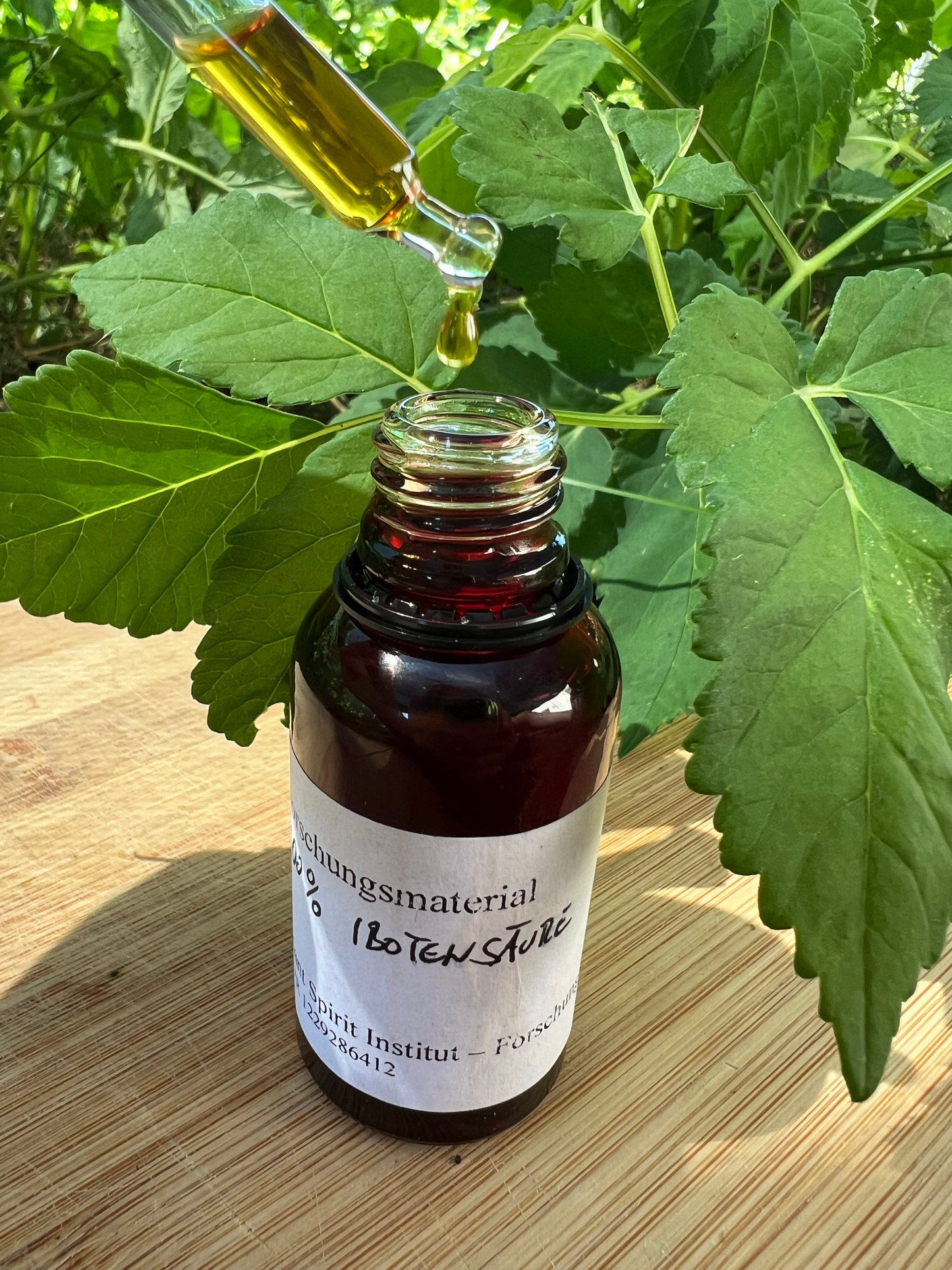 Fliegenpilz Essenz / Ibotensäure / Antrieb & Motivation