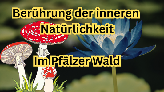 Frühsommer Ritual 19.6 - 21.6 im Pfälzer Wald
