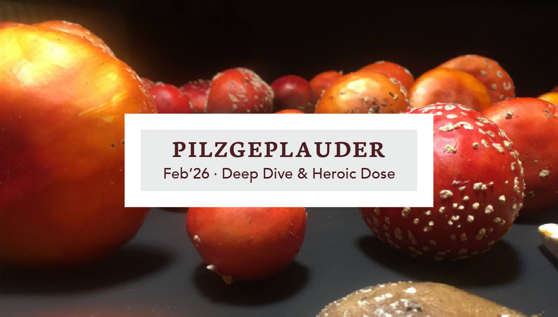 Pilzgeplauder Feb'26 – Deep Dive & Heroic Dose