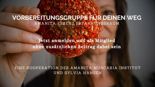 kostenlose Vorbereitungsgruppe ab Juni für Amanita Interessierte
