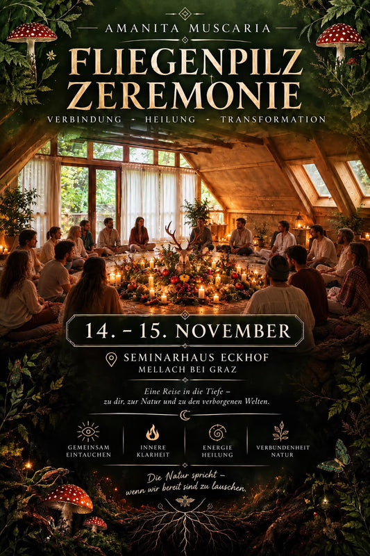 Fliegenpilz Zeremonie 14.11 - 15.11.2026 bei Graz