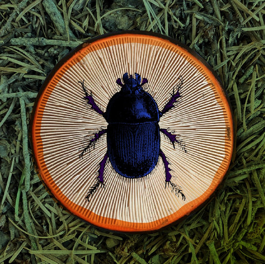 Microdosing-Zirkel „Zwiesprache“ · online · 2. Oktober – 6. November