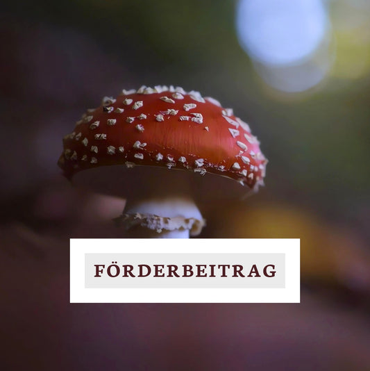Unterstützung unserer Arbeit mit einem Förderbeitrag