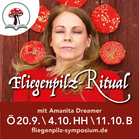 Fliegenpilz-Rituale mit Amanita Dreamer