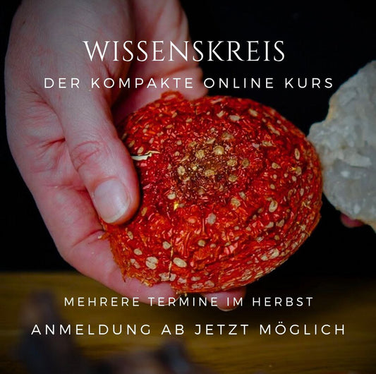Wissenskreis · Herbst '25