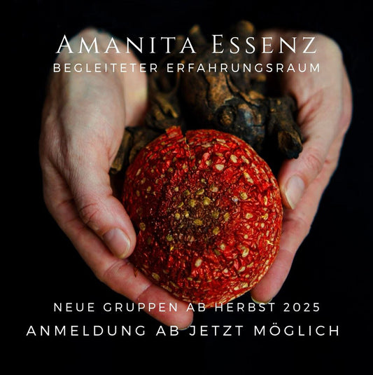 Amanita Essenz Erfahrungsraum · online · Herbst '25