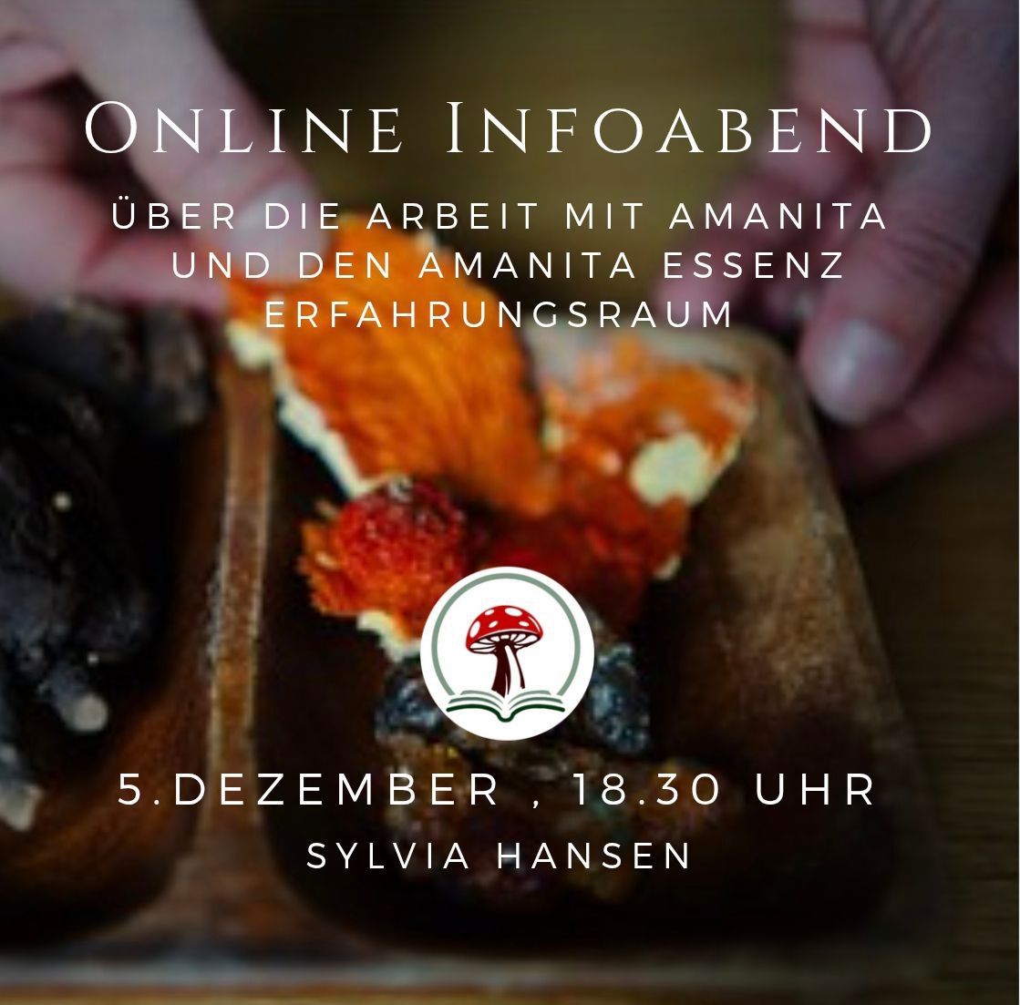 Infoabend am 05.12.2025