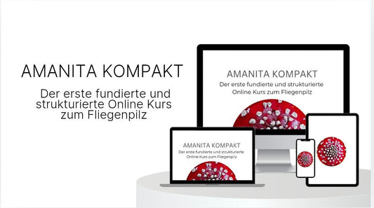 AMANITA KOMPAKT - Der erste fundierte und strukturierte Online Kurs zum Fliegenpilz